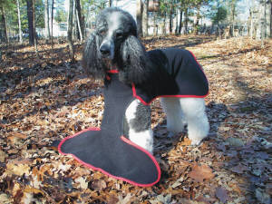 Winter coats on sale for standard poodles